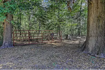 Tbd Bryan Lane, Willis, TX 77378 - Photo 2