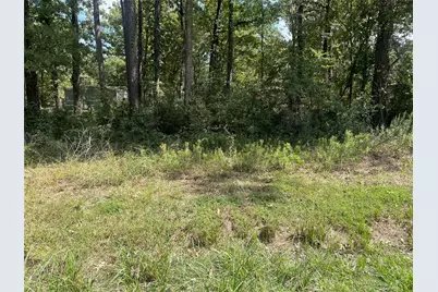 Tbd Meridian Lot 22, Livingston, TX 77351 - Photo 2