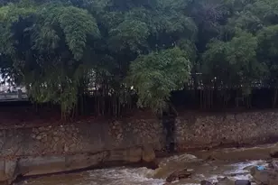 Calle 2A N 2-06 Torre Inversiones Normandia St, Almont, CO - Photo 38