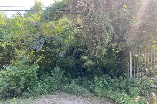 893 Wall St, Houston, TX 77088 - Photo 6