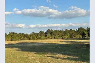 Tbd County Road 408, Navasota, TX 77868 - Photo 10