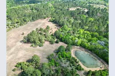 Tbd County Road 408, Navasota, TX 77868 - Photo 4