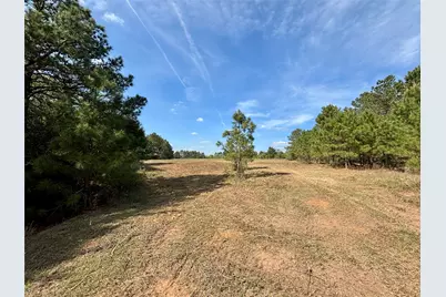 Tbd County Road 408, Navasota, TX 77868 - Photo 16