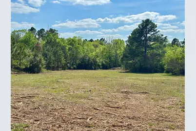 Tbd County Road 408, Navasota, TX 77868 - Photo 18