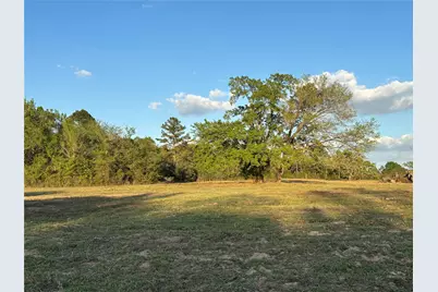 Tbd County Road 408, Navasota, TX 77868 - Photo 8