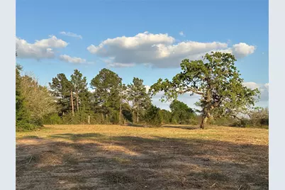 Tbd County Road 408, Navasota, TX 77868 - Photo 6