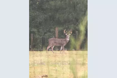 245 Alabama Point, Livingston, TX 77351 - Photo 48