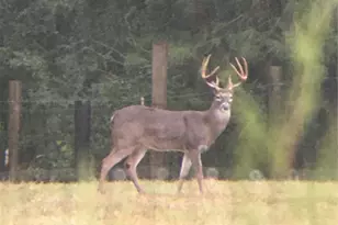 245 Alabama Point, Livingston, TX 77351 - Photo 48