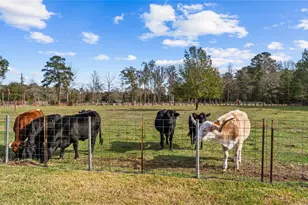 245 Alabama Point, Livingston, TX 77351 - Photo 44