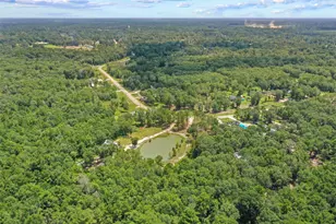 384 County Road 3295, Cleveland, TX 77327 - Photo 46