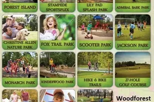 340 Water Tupelo Dr, Montgomery, TX 77316 - Photo 40