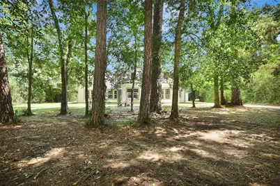 25703 Penguin Street, Magnolia, TX 77355 - Photo 2