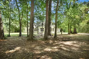25703 Penguin St, Magnolia, TX 77355 - Photo 2