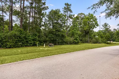 23506 High Meadow Estates Drive, Montgomery, TX 77316 - Photo 12