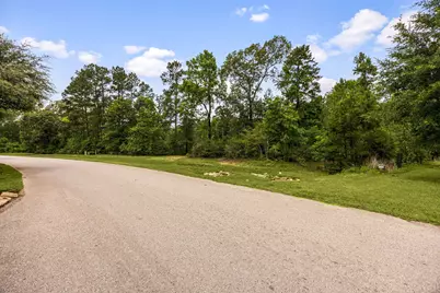 23506 High Meadow Estates Drive, Montgomery, TX 77316 - Photo 4