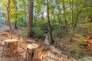 205 Tall Pine, Livingston, TX 77351 - Photo 40