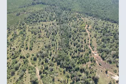 Tract 4 Private Road 8385 Street, Spurger, TX 77660 - Photo 4