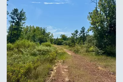 Tract 4 Private Road 8385 Street, Spurger, TX 77660 - Photo 8