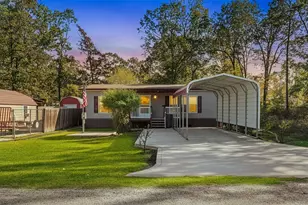 271 St Thomas Dr, Point Blank, TX 77364 - Photo 2