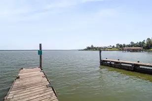 271 St Thomas Dr, Point Blank, TX 77364 - Photo 32