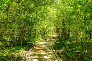 919 St Elmos Ct, Missouri City, TX 77459 - Photo 48