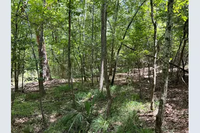 415 Rio Vista Drive, Livingston, TX 77352 - Photo 8