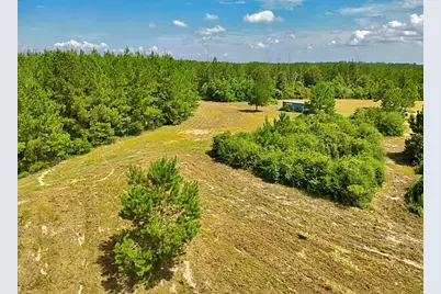 81363 George Sanner Rd, Village Mills, TX 77663 - Photo 8