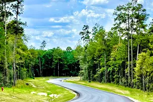 12050 High Br Wy, Willis, TX 77378 - Photo 4