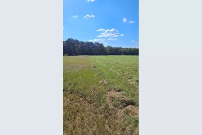 Tbd Hawthorne Road N, New Waverly, TX 77358 - Photo 1