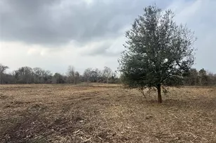 Lot 10 County Road 30, Angleton, TX 77515 - Photo 1