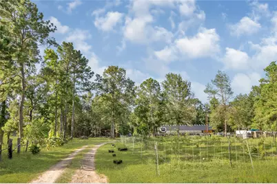 80 Road 3017B, Dayton, TX 77535 - Photo 32