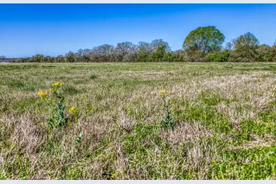 Tbd Schuster Road, Round Top, TX 78954 - Photo 6