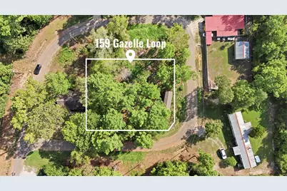 159 Gazelle Loop, Onalaska, TX 77360 - Photo 4