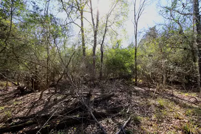 5.003 Acres Winding Meadow Drive, Bedias, TX 77831 - Photo 10