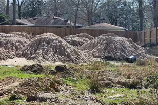 576 Magnolia Point Dr, Houston, TX 77336 - Photo 2