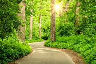 313 Fields Ln, Montgomery, TX 77316 - Photo 22