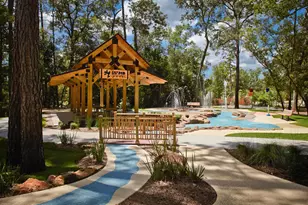 313 Fields Ln, Montgomery, TX 77316 - Photo 20