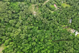 10000 Bentley Dr, Hockley, TX 77447 - Photo 8