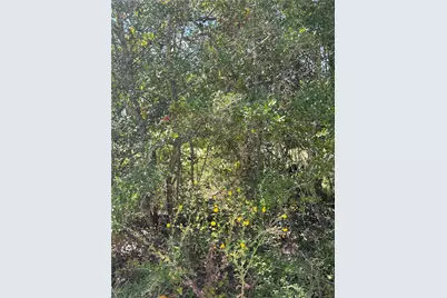 8537 Berger Easement, Anderson, TX 77830 - Photo 26