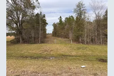 283 County Road 2247, Cleveland, TX 77327 - Photo 4