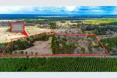 9139 N State Highway 94, Groveton, TX 75845 - Photo 2