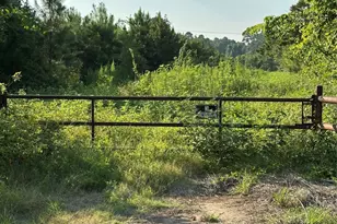 0 Amberwood, Dobbin, TX 77356 - Photo 2