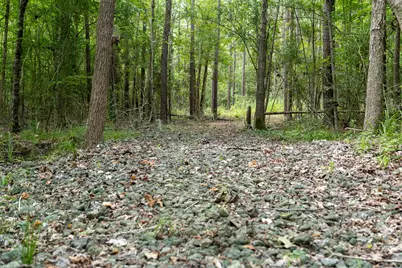 000 US Hwy 190, Woodville, TX 75979 - Photo 2