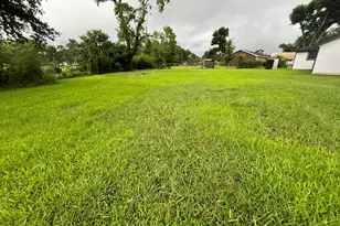 1131 County Rd 515, Brazoria, TX 77422 - Photo 4