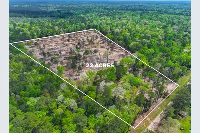 120 Royce Lane, Livingston, TX 77351 - Photo 8