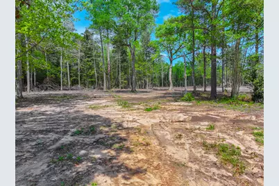 120 Royce Lane, Livingston, TX 77351 - Photo 4