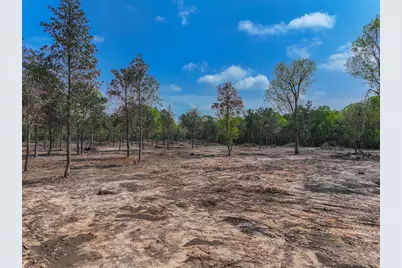 120 Royce Lane, Livingston, TX 77351 - Photo 6