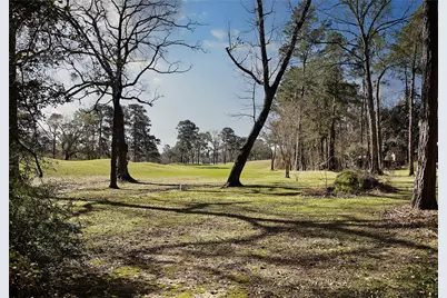 2 Box Turtle Lane, The Woodlands, TX 77380 - Photo 6