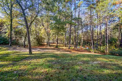 120 Ebner Lake Front Drive, Montgomery, TX 77316 - Photo 44