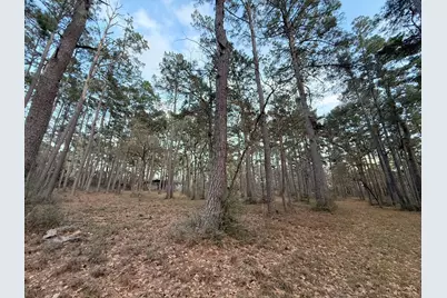 5772 Pr 2065, Centerville, TX 75833 - Photo 8